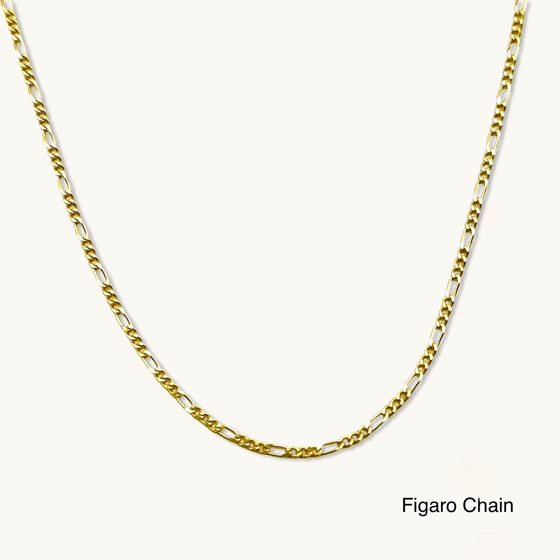 Choose Your Flower In Figaro Chain Necklace