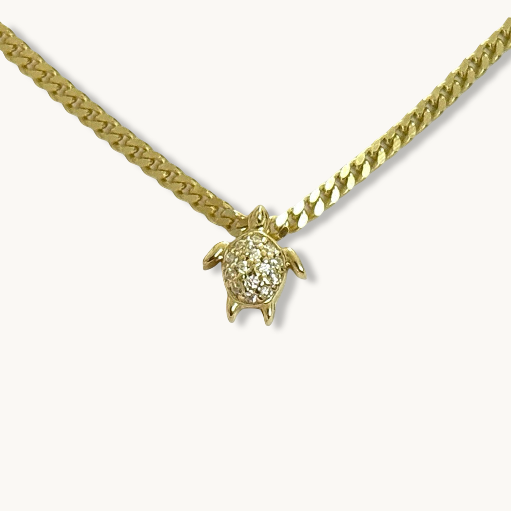 Piedra preciosa de tortuga en collar o pulsera a elegir
