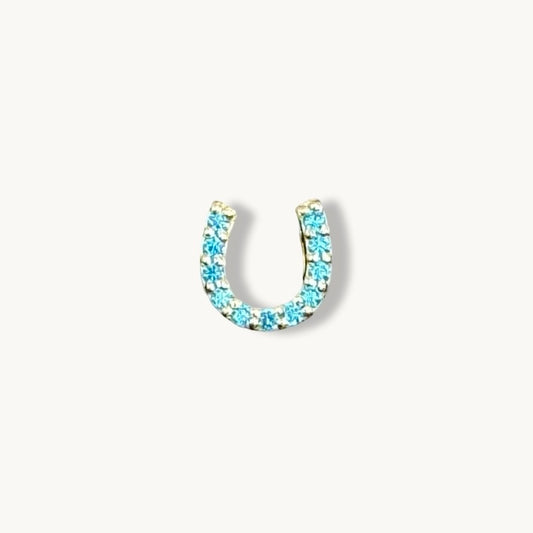 Lucky Horseshoe Charm