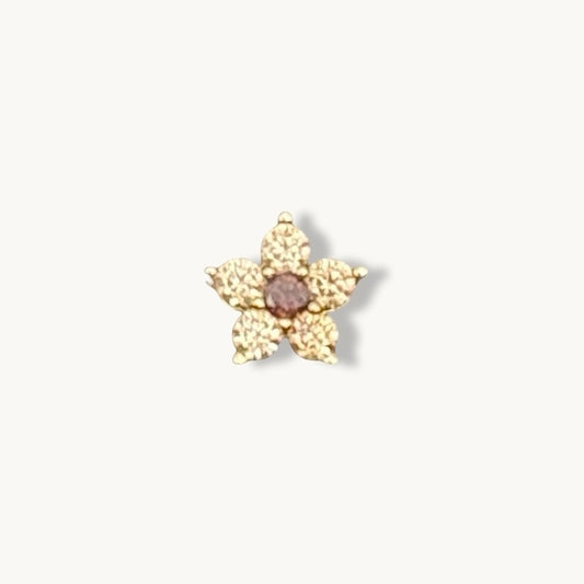 Champagne Brown Charm